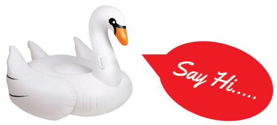 swan-01